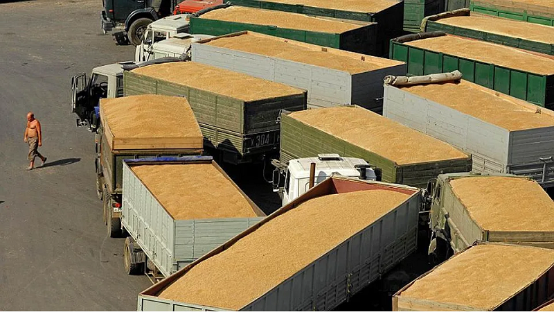 перевозка зарновых